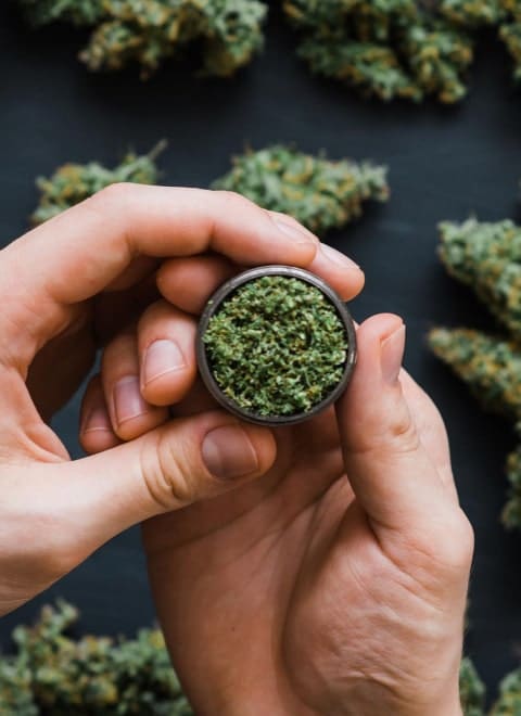 Top 10 Cannabis Strains - Best Online Dispensary