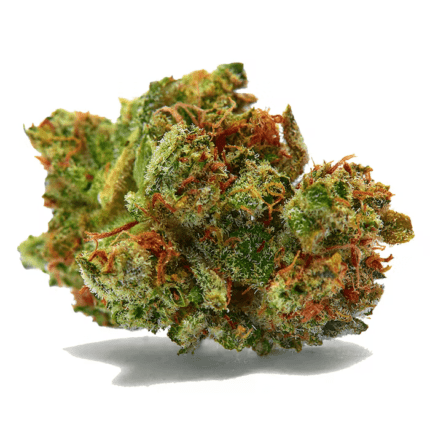 Sour Diesel at Best Online Dispensary Canada