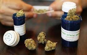Best Marijuana Weed Strains - Green Dreams