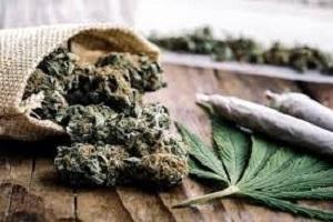 Best Marijuana Weed Strains - Green Dreams