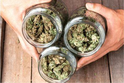 The Best Canadian Online Dispensaries