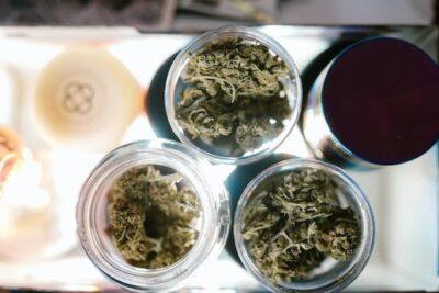 Best Cannabis Strains for Anxiety