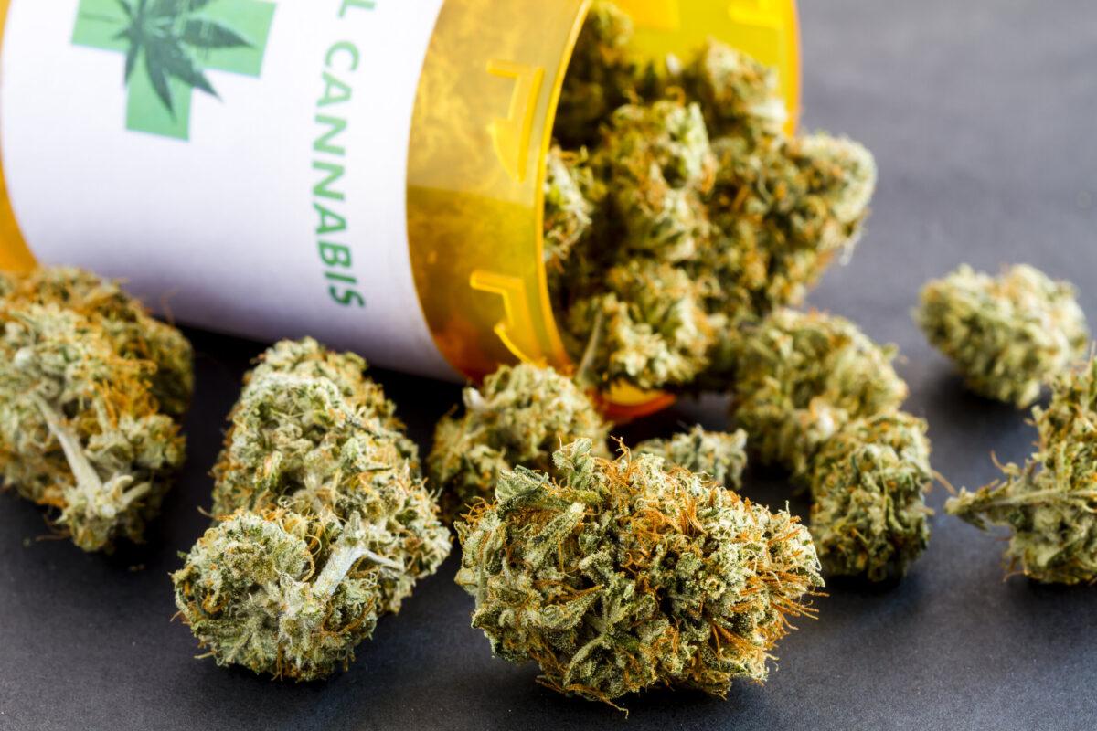 Best Sativa strains of weed